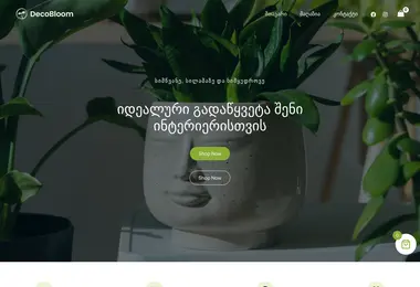 Screenshot of decobloom.ge