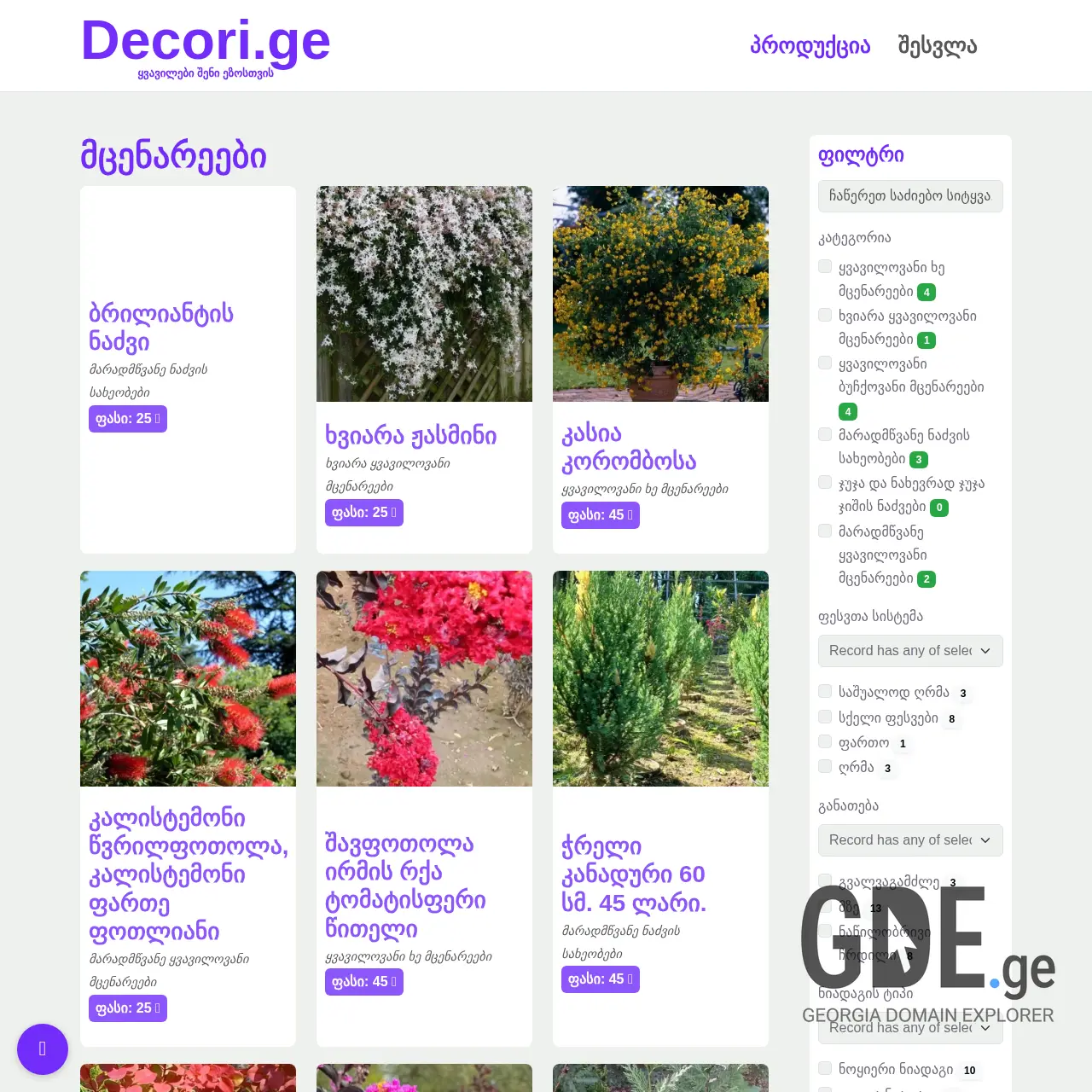 Screenshot of the site decori.ge at 2025-12-18