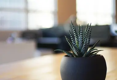 Preview from 07.12.2025