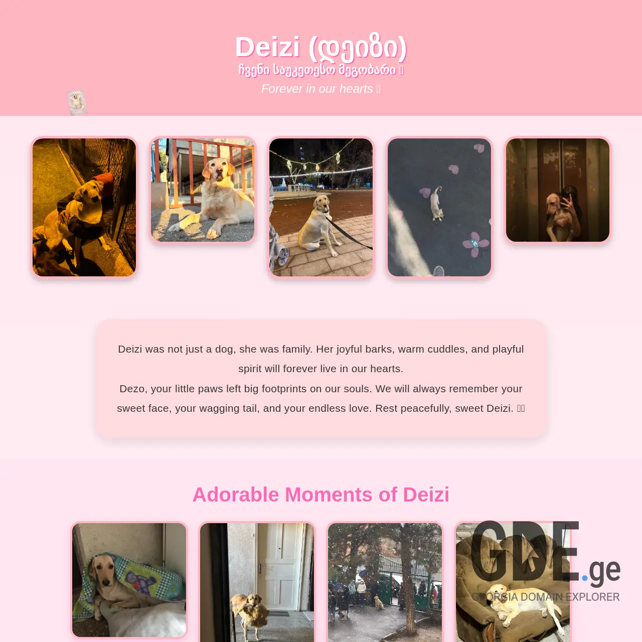 Screenshot of the site deizi.ge at 2026-02-06