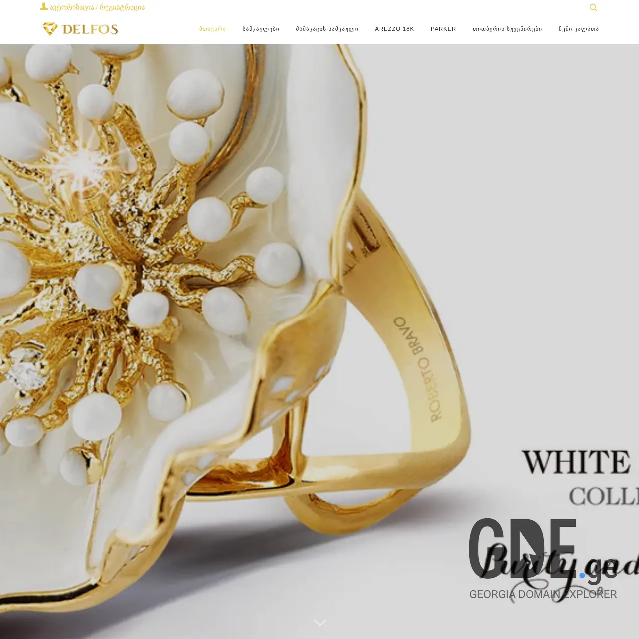 Screenshot of the site delfosgroup.ge at 2025-12-19