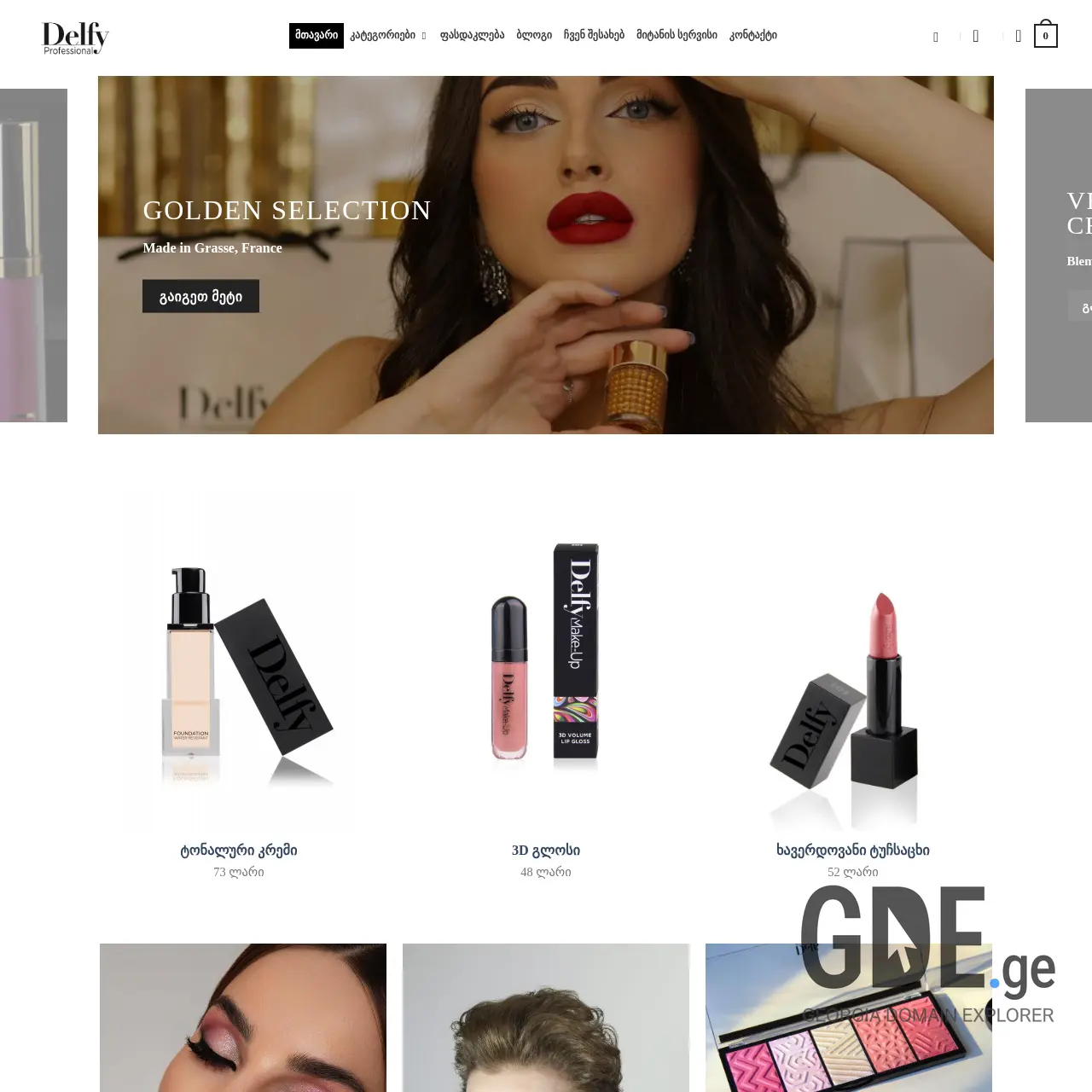 Screenshot of the site delfy.ge at 2025-12-19