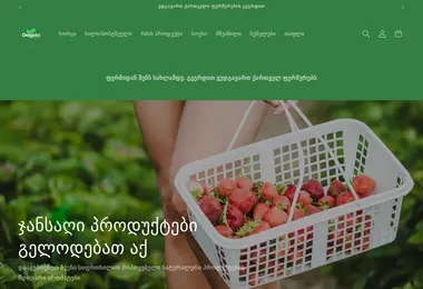 Screenshot of delgato.ge