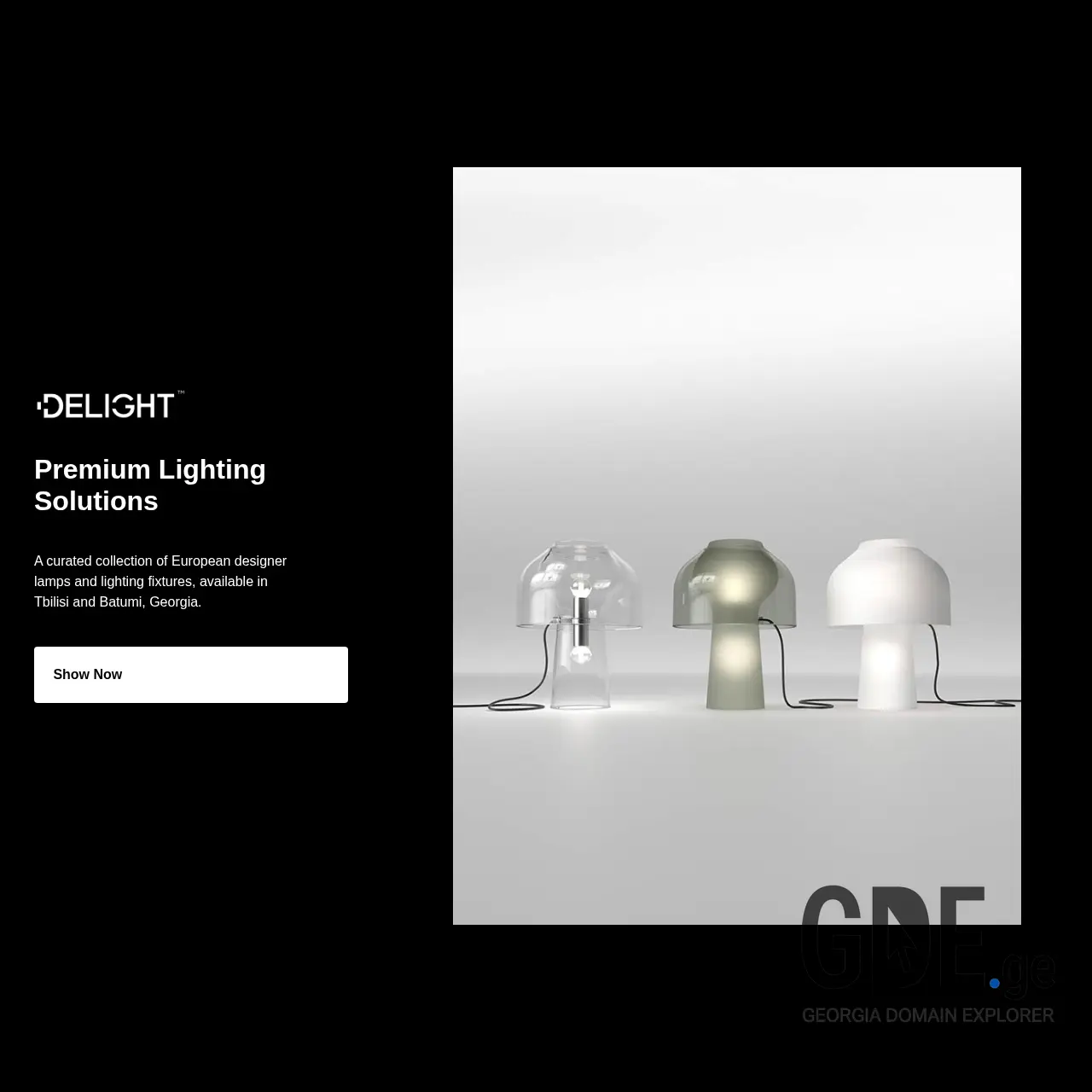 Screenshot of the site delight-showroom.ge at 2025-12-07