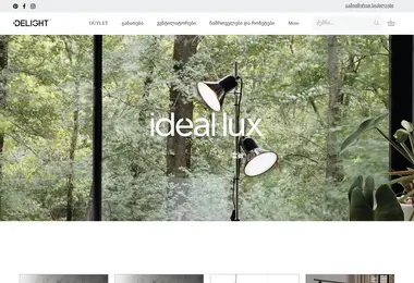 Screenshot of delight.ge