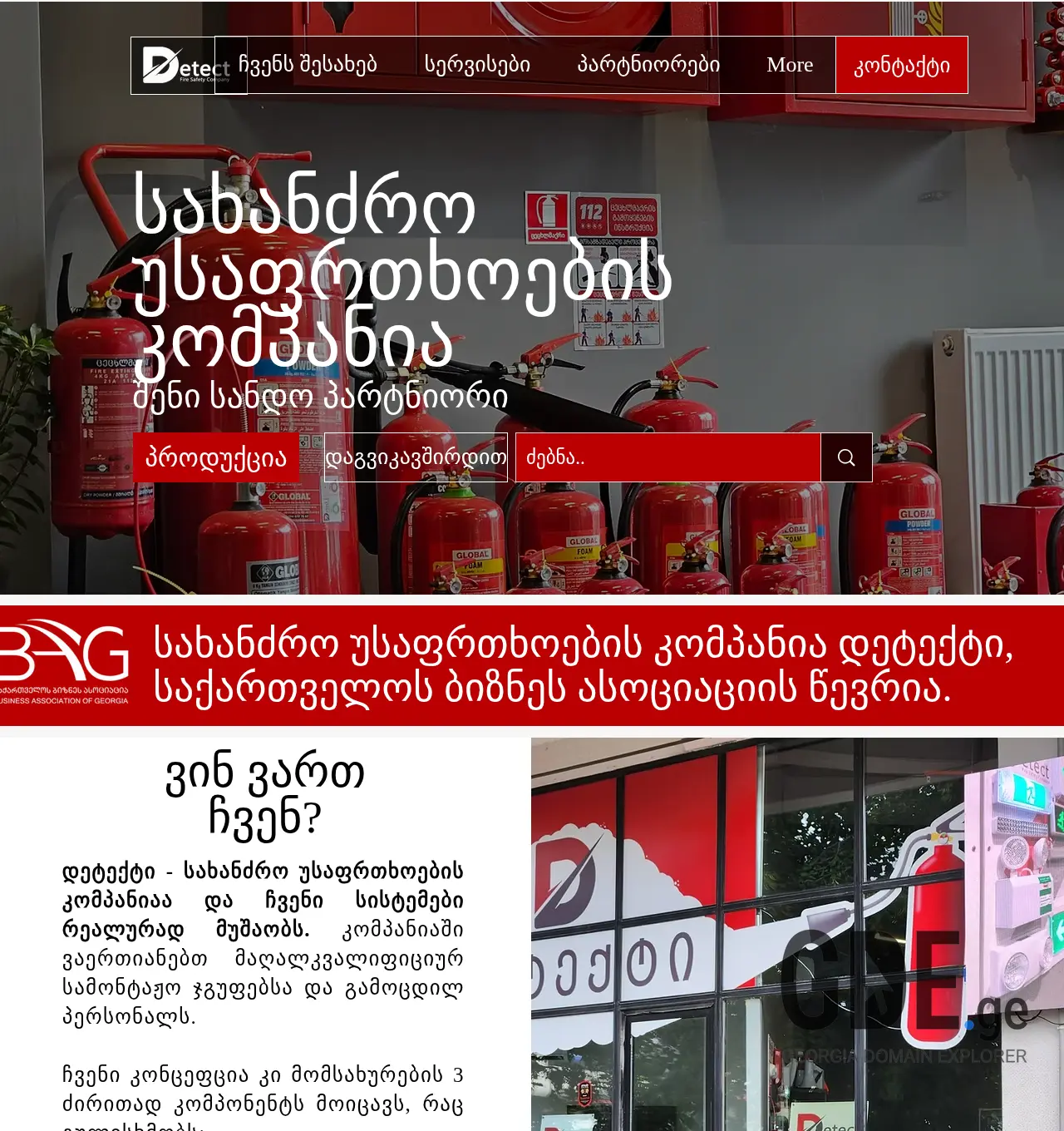 Screenshot of the site detect.ge at 2025-11-30