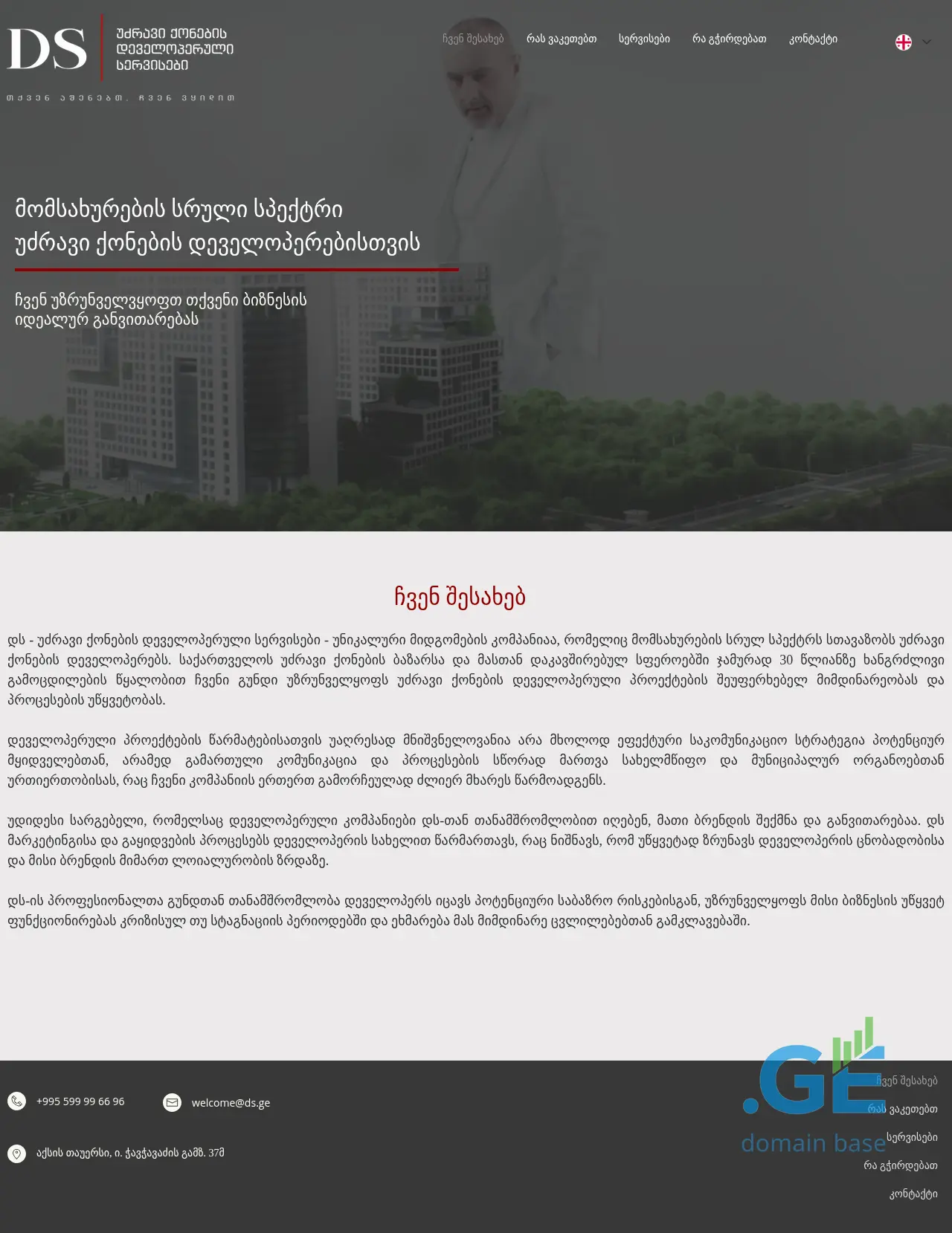 Screenshot of the site developmentservices.ge
