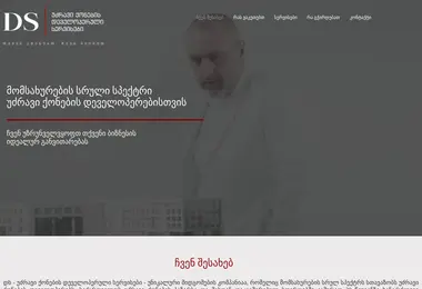 Screenshot of developmentservices.ge