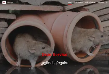 Screenshot of dezo.ge