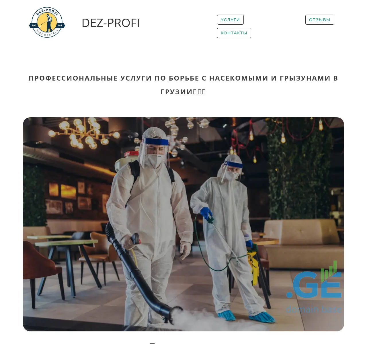 Screenshot of the site dezprofi.ge at 2025-11-09