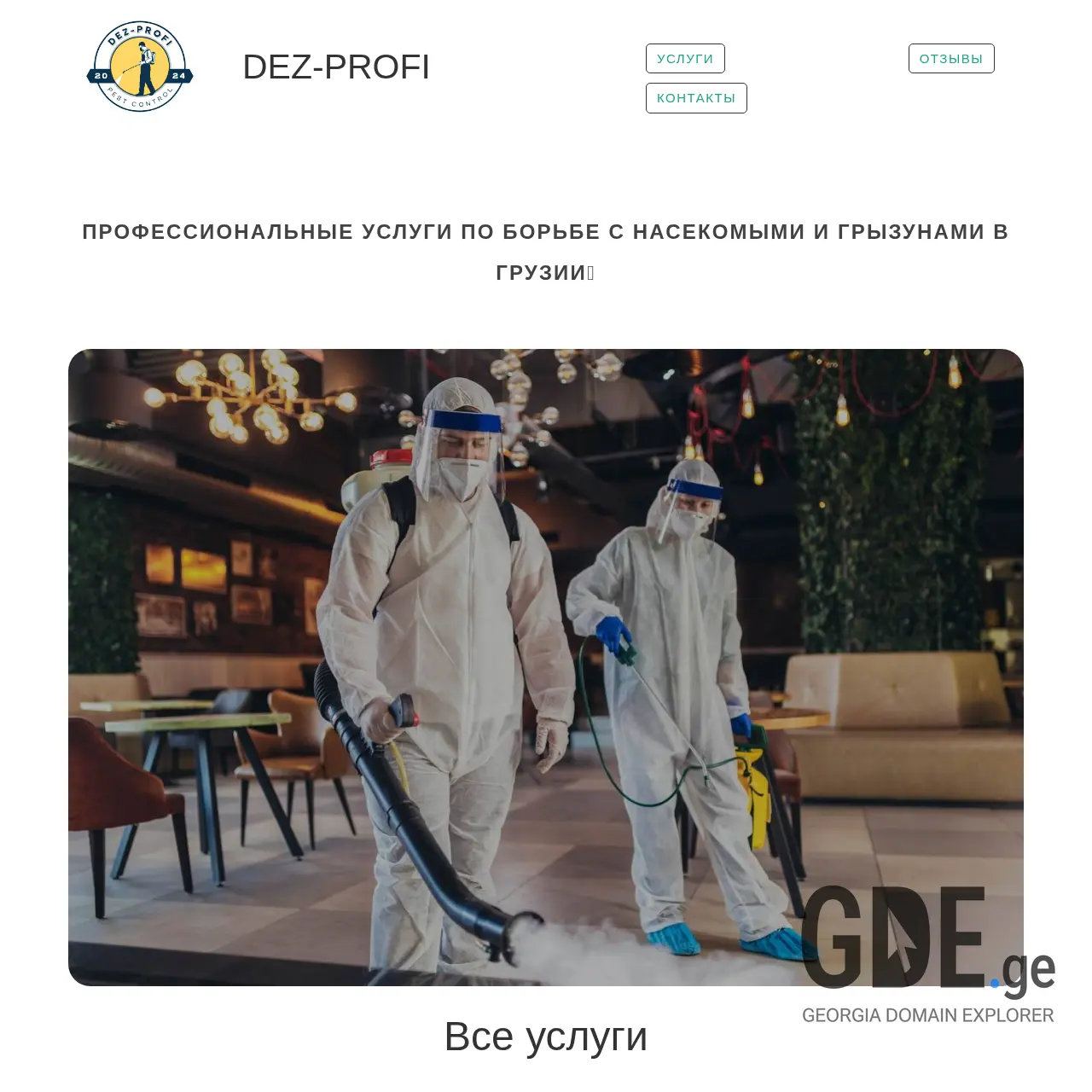 Screenshot of the site dezprofi.ge at 2025-12-15
