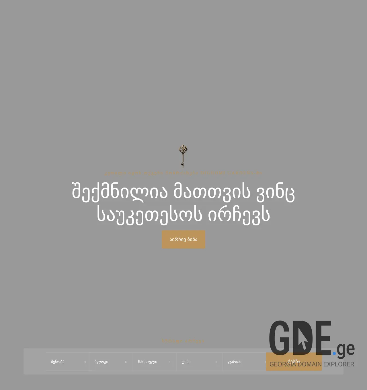 Screenshot of the site dg.ge at 2025-11-30