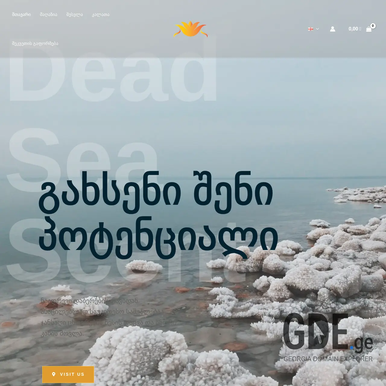 Screenshot of the site didsi.ge at 2025-12-07