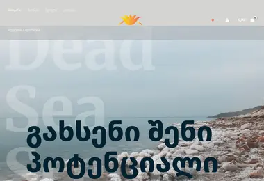 Screenshot of didsi.ge