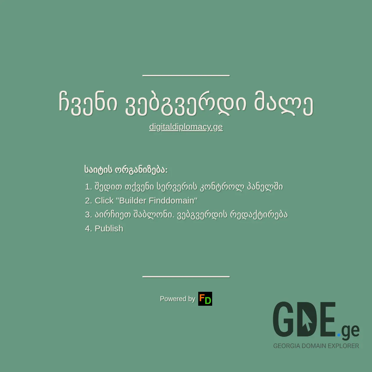 Screenshot of the site digitaldiplomacy.ge at 2025-12-07