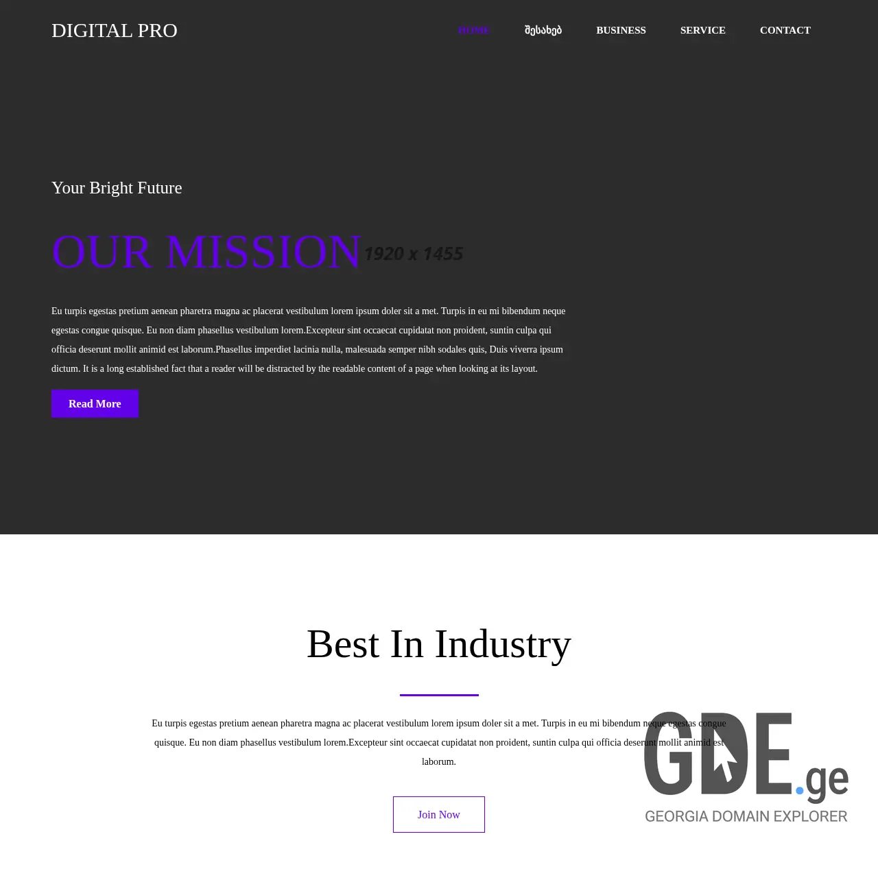 Screenshot of the site digitalpro.ge at 2025-12-07