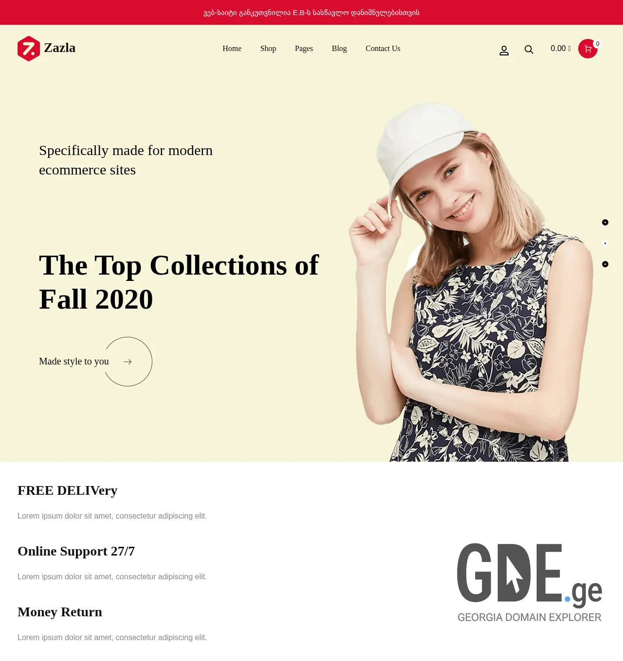 Screenshot of the site digitalshop.ge at 2025-11-30