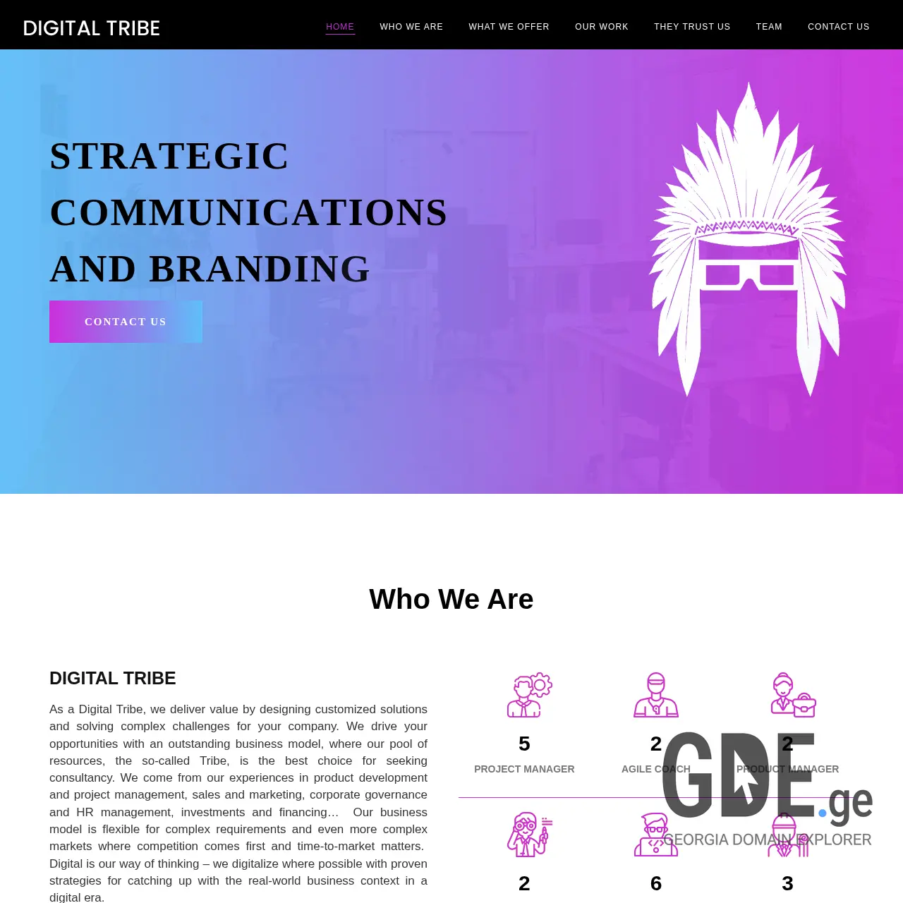 Screenshot of the site digitaltribe.ge at 2026-01-15