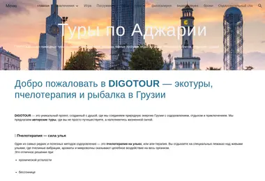 Screenshot of digotour.ge