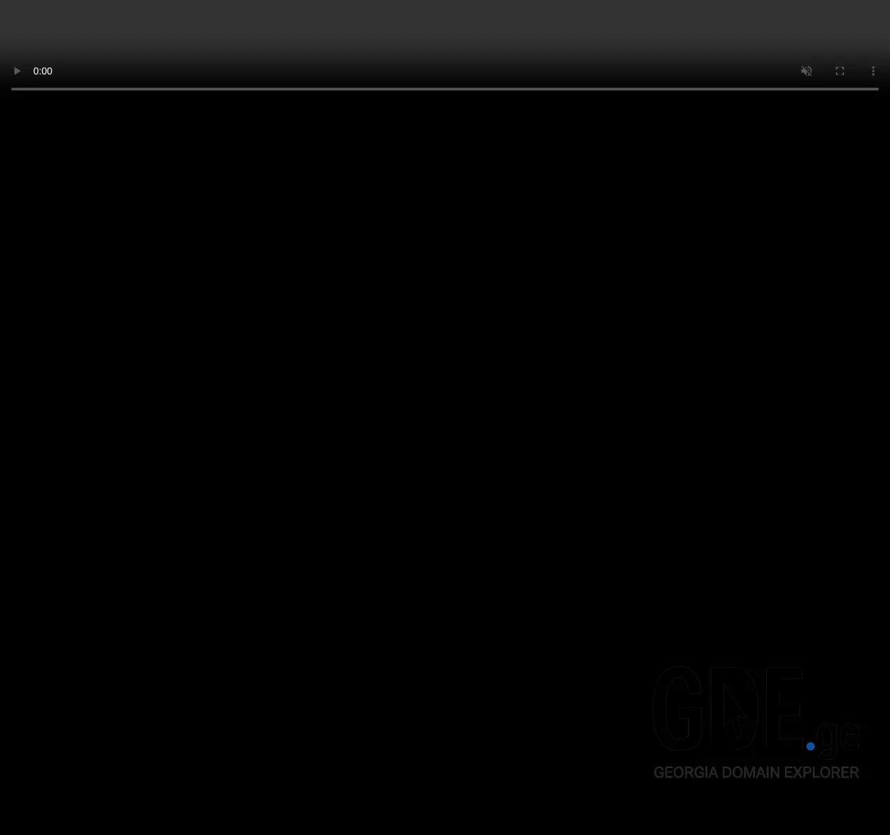 Screenshot of the site dila.com.ge at 2025-11-27