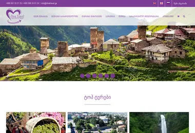 Screenshot of dinatravel.ge