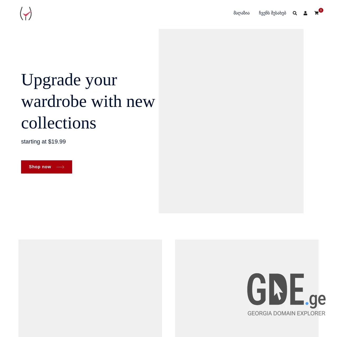 Screenshot of the site dinool.ge at 2025-12-11
