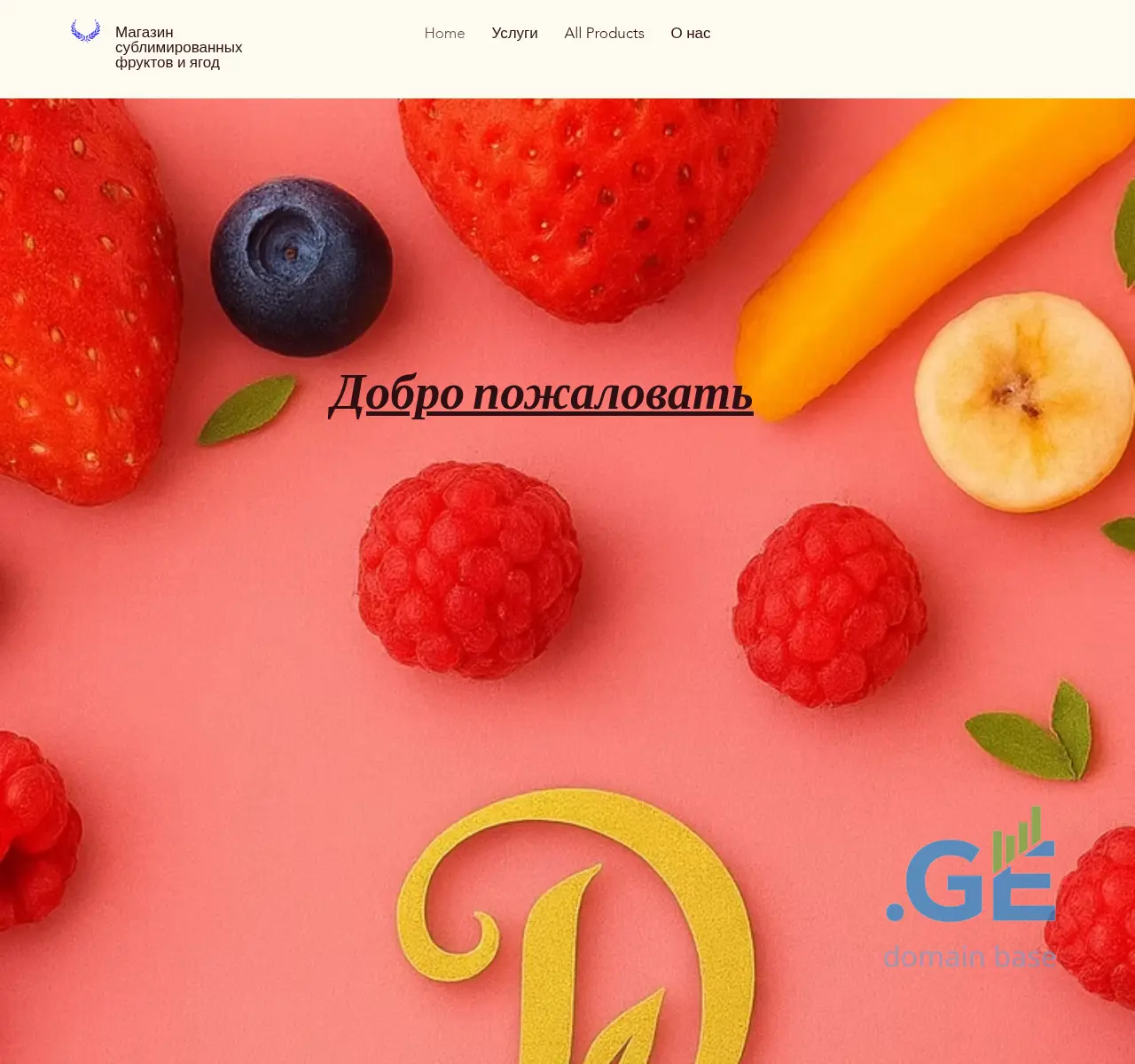 Screenshot of the site diovita.ge at 2025-11-02