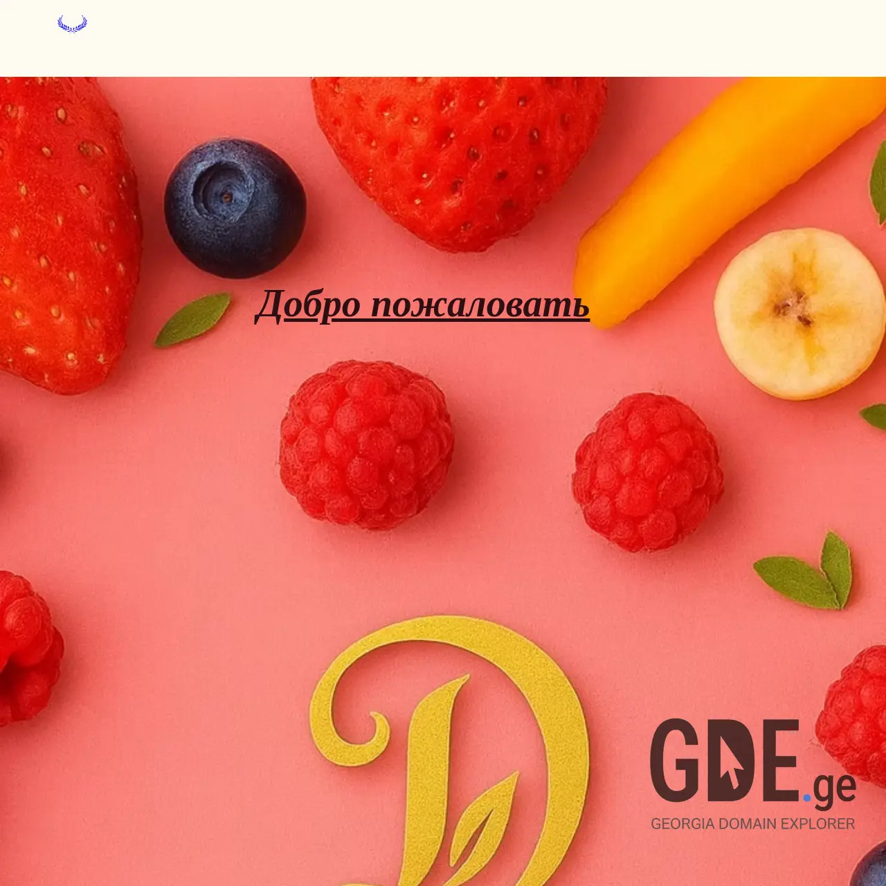 Screenshot of the site diovita.ge at 2025-12-15