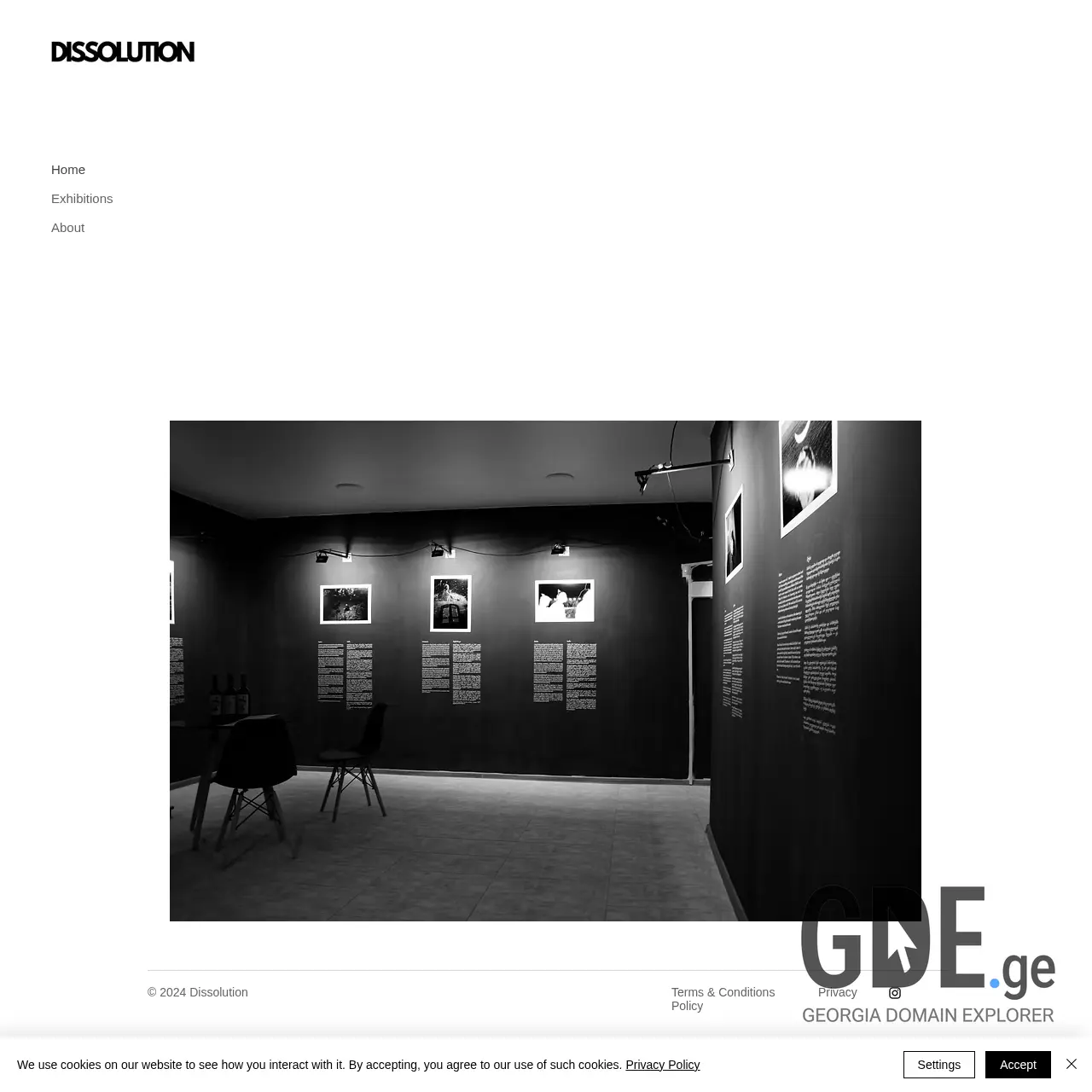 Screenshot of the site dissolution.ge at 2025-12-07