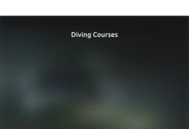 divers.ge-ის ეკრანის სურათი