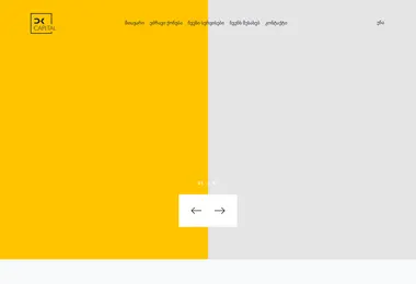 Screenshot of dkcapital.ge
