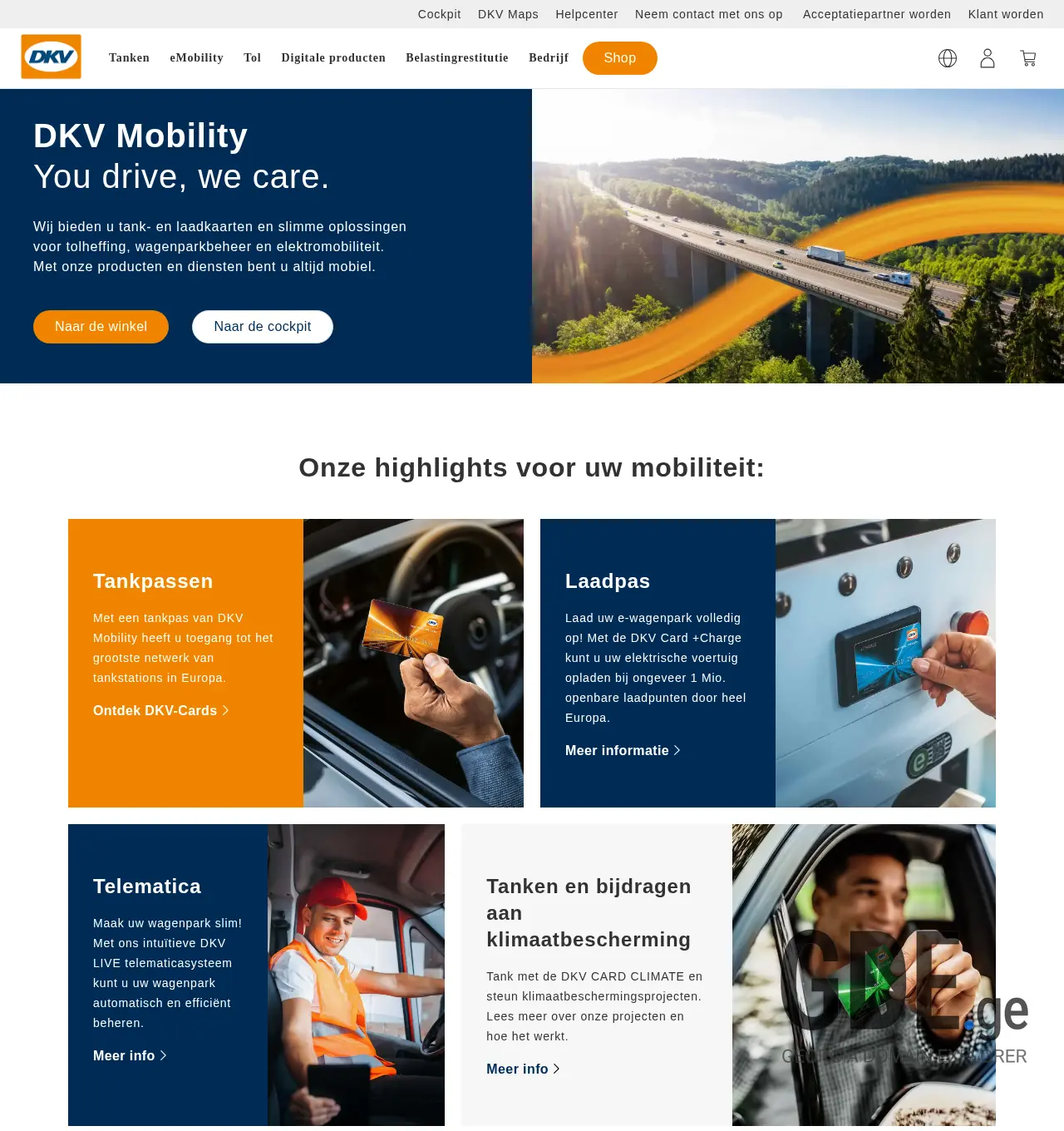 Screenshot of the site dkv-euroservice.ge at 2025-11-30
