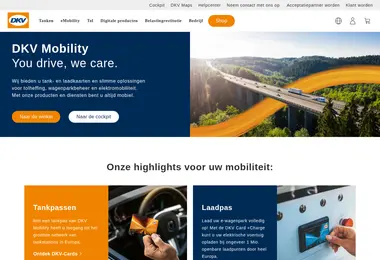 Скриншот dkv-euroservice.ge