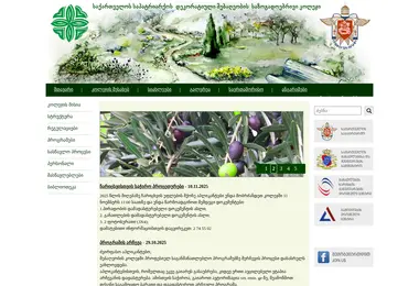 Скриншот dmsk.ge