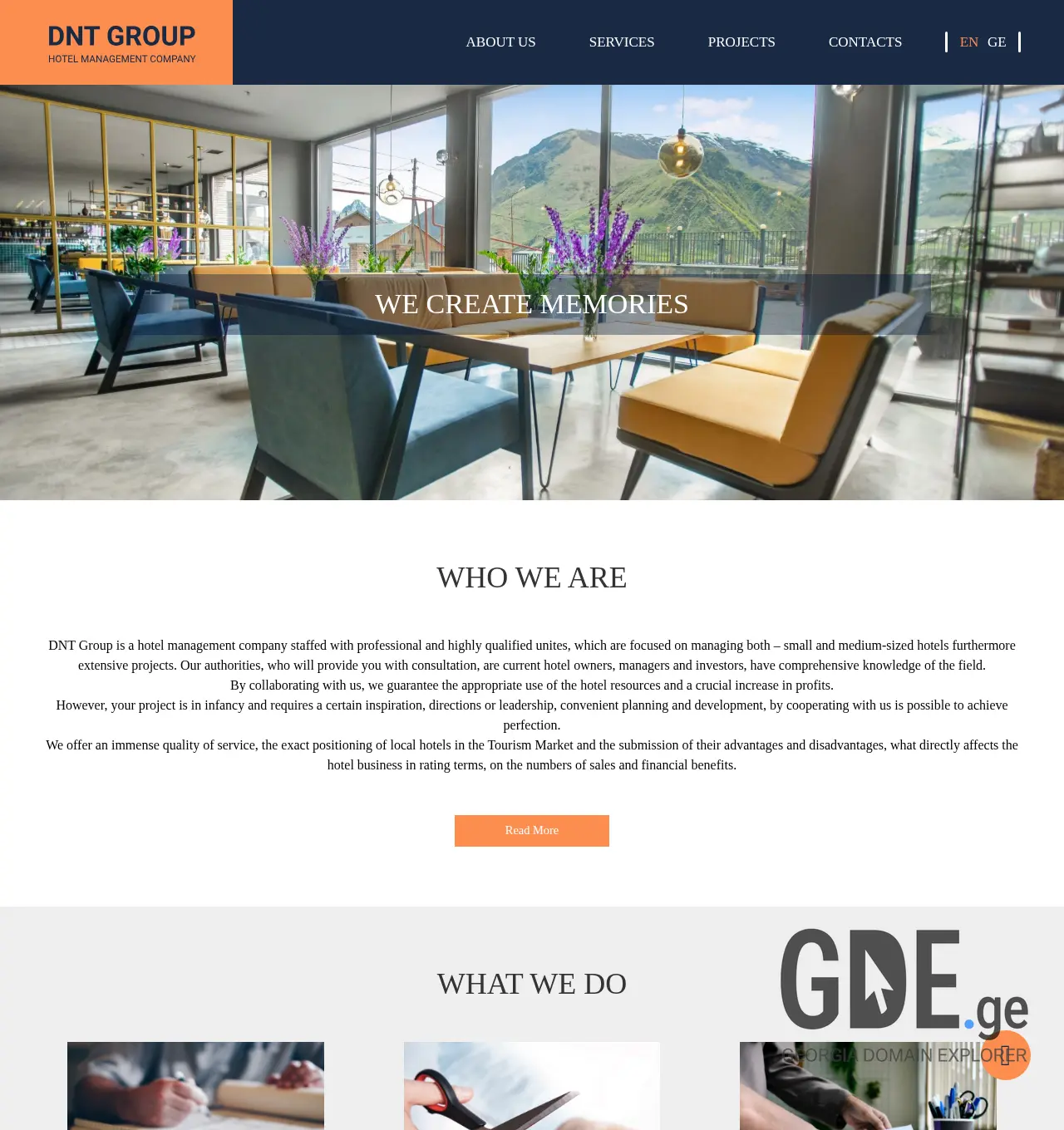 Screenshot of the site dntgroup.ge at 2025-11-30