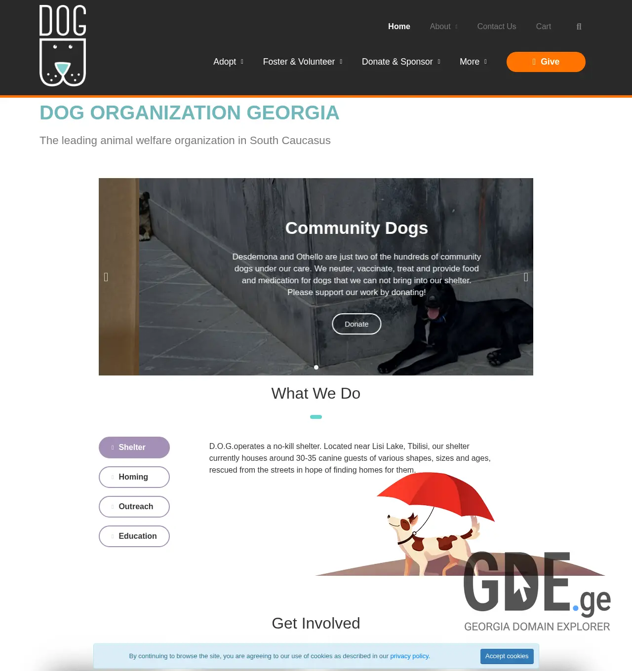 Screenshot of the site dog.org.ge at 2025-11-29