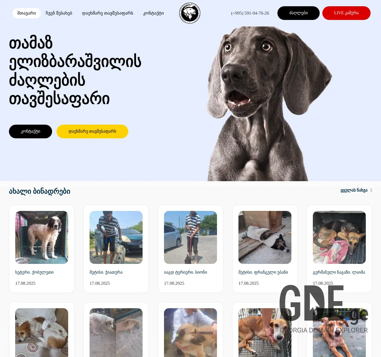 Screenshot of the site doghome.ge at 2025-11-26
