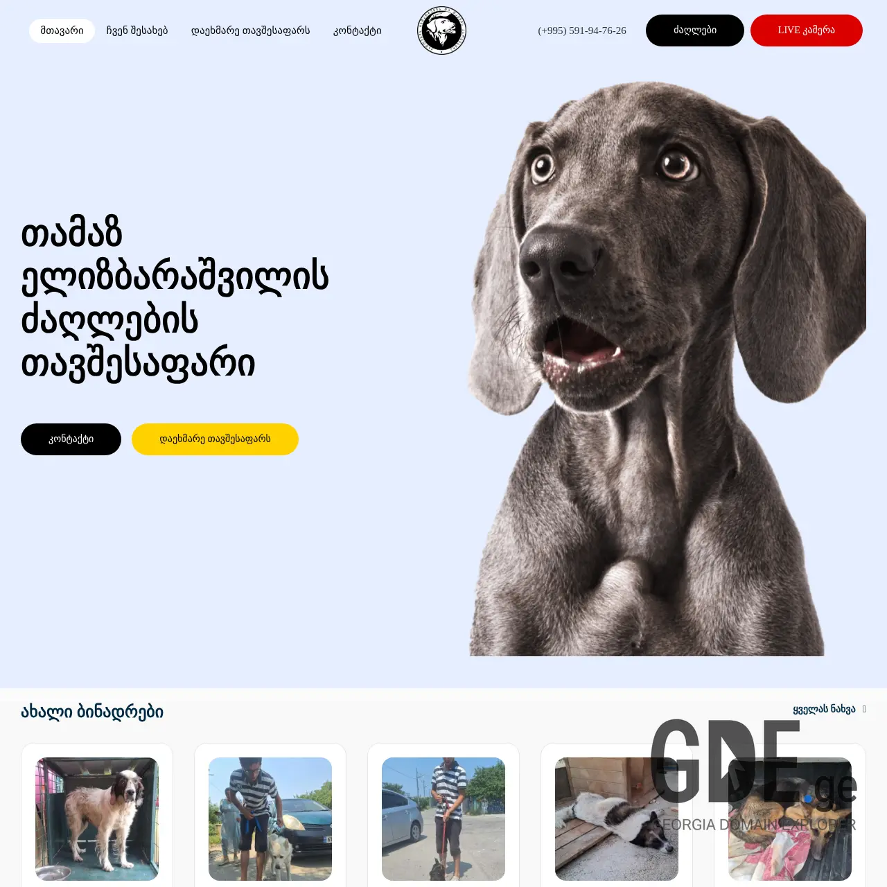 Screenshot of the site doghome.ge at 2025-12-19