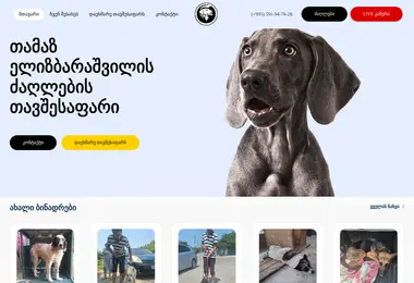 Preview from 26.11.2025