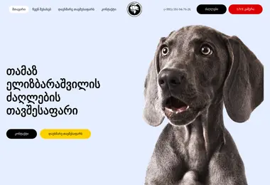 Preview from 19.12.2025