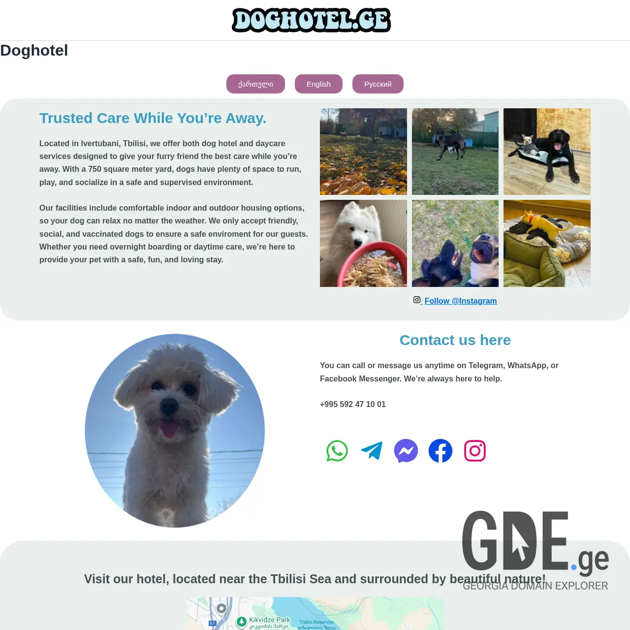 Screenshot of the site doghotel.ge at 2025-12-07