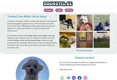 Screenshot of doghotel.ge