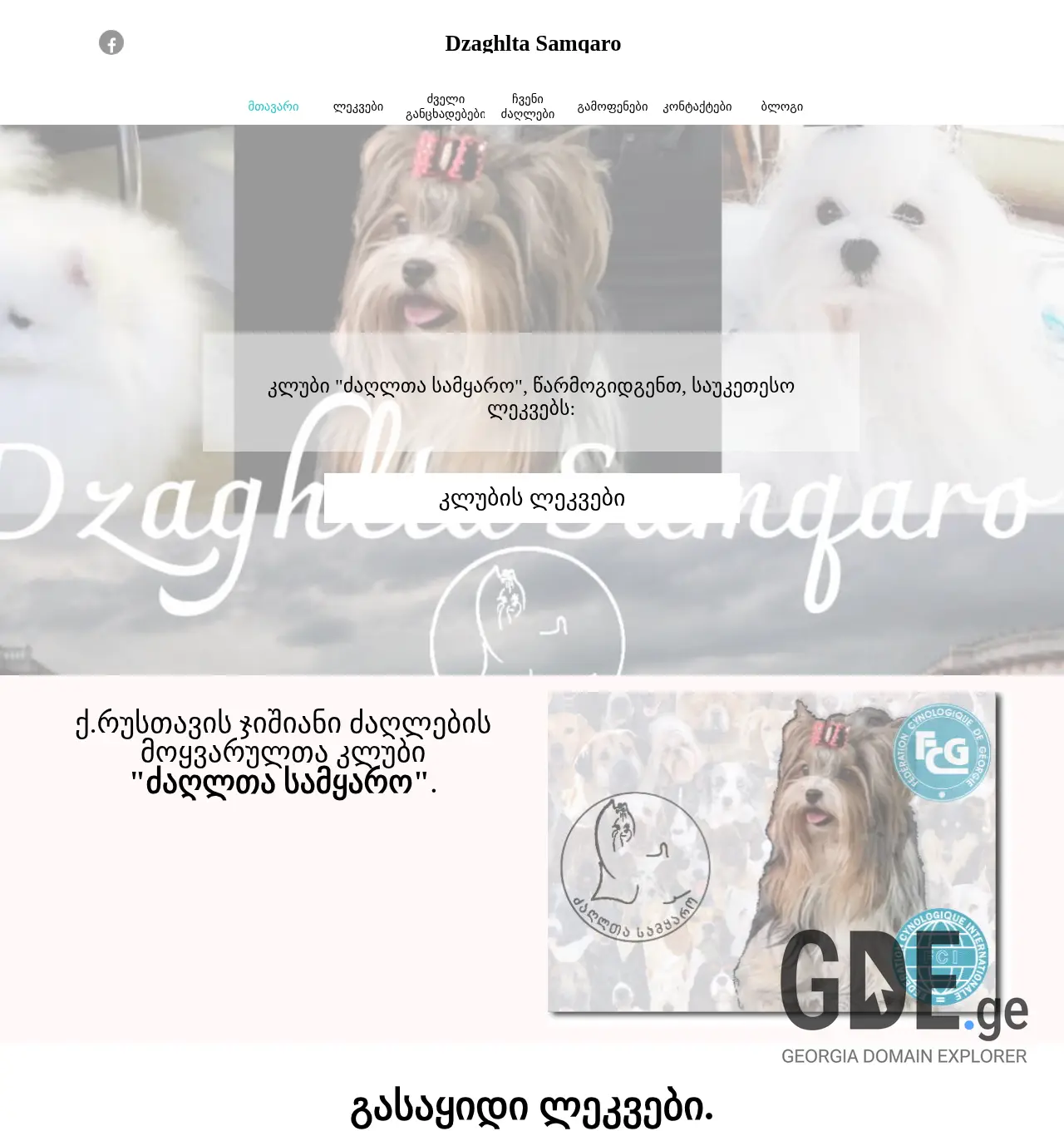 Screenshot of the site dogsworld.ge at 2025-11-30