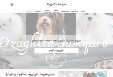 Screenshot of dogsworld.ge