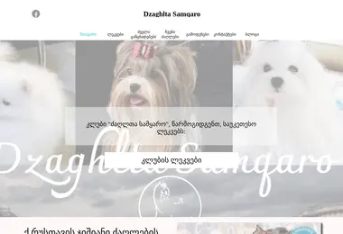 Screenshot of dogsworld.ge