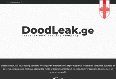 Screenshot of doodleak.ge