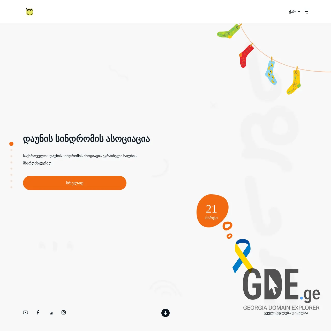 Screenshot of the site downsyndrome.ge at 2025-12-18