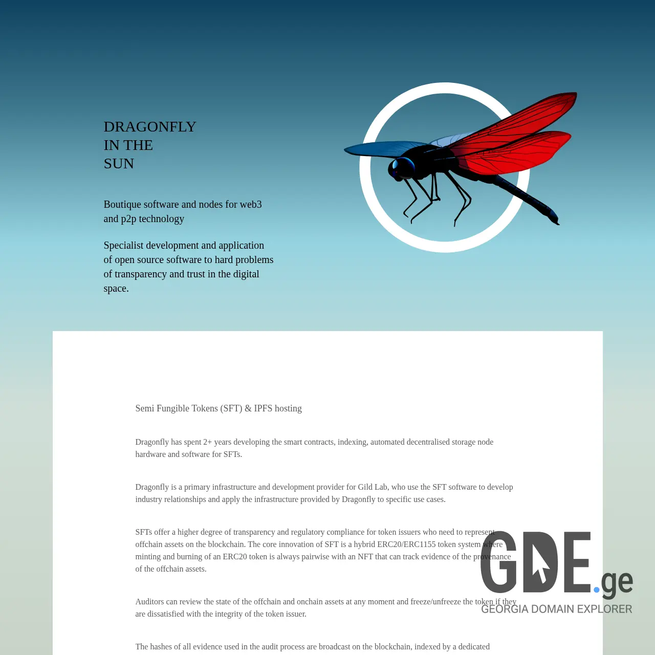 Screenshot of the site dragonflysun.ge at 2025-12-07