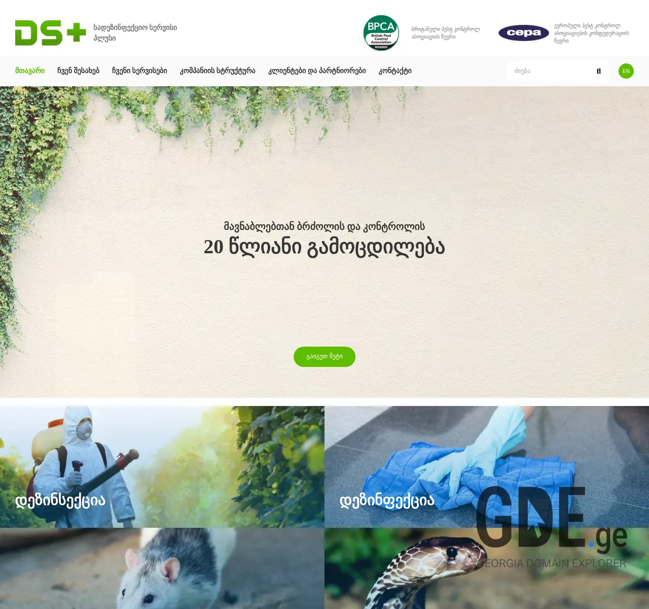 Screenshot of the site dsplus.ge at 2025-11-26