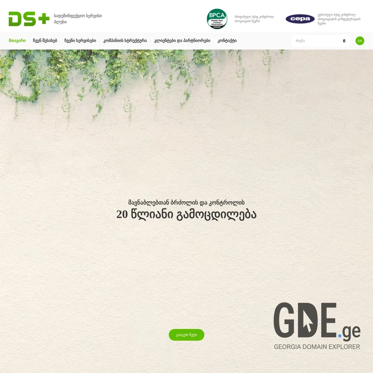 Screenshot of the site dsplus.ge at 2025-12-20